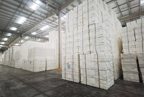 山東國(guó)際大宗商品交易市場(chǎng)指定交收倉(cāng)庫(kù)總面積超70萬(wàn)㎡