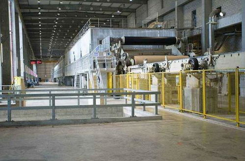 了解到內(nèi)地紙張市場的巨大潛力,她成立公司,成就紙業(yè)王國